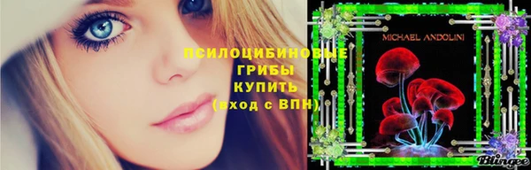 a pvp Магас