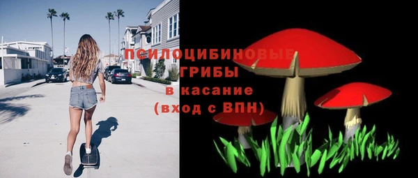 a pvp Магас