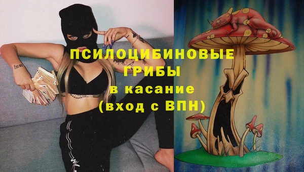 a pvp Магас
