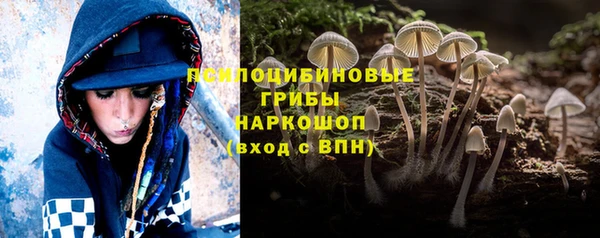 a pvp Магас