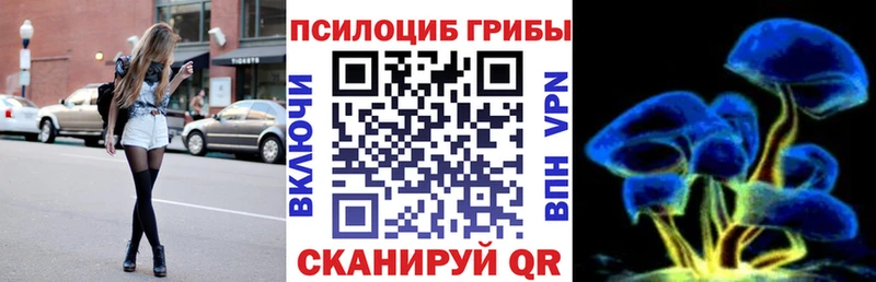 Псилоцибиновые грибы Cubensis  Купить  Дятьково 